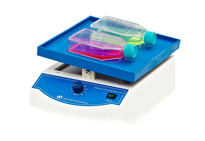 海門其林貝爾轉(zhuǎn)移搖床（新款、調(diào)速）TS-8（升級(jí)版）